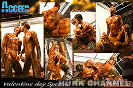 【ACCEED：Full HD】〈the Mania〉the Mania【Valentine　Special】