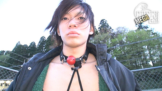m_picture